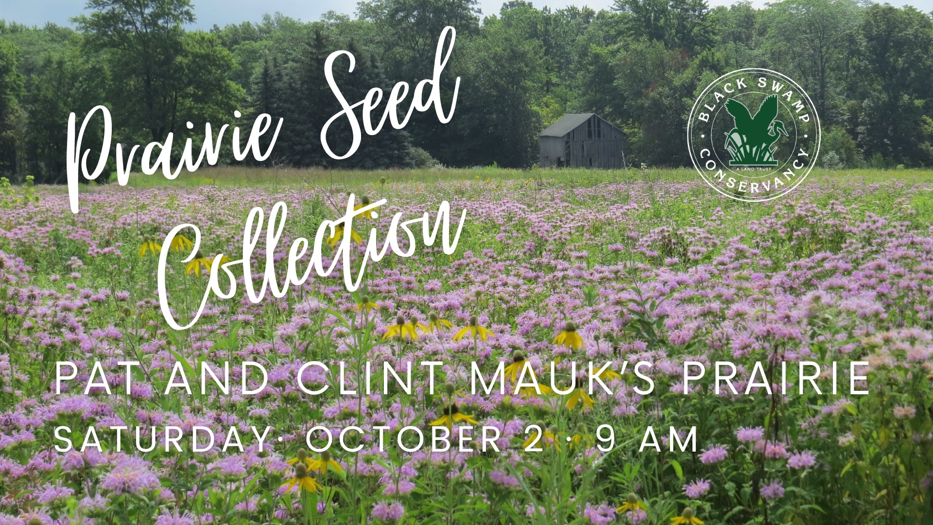 prairie seed collection event image