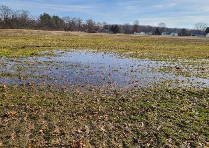 Upper tier of farm field, looking east from SW part of field. There were several pockets of standing water, in hydric soils.