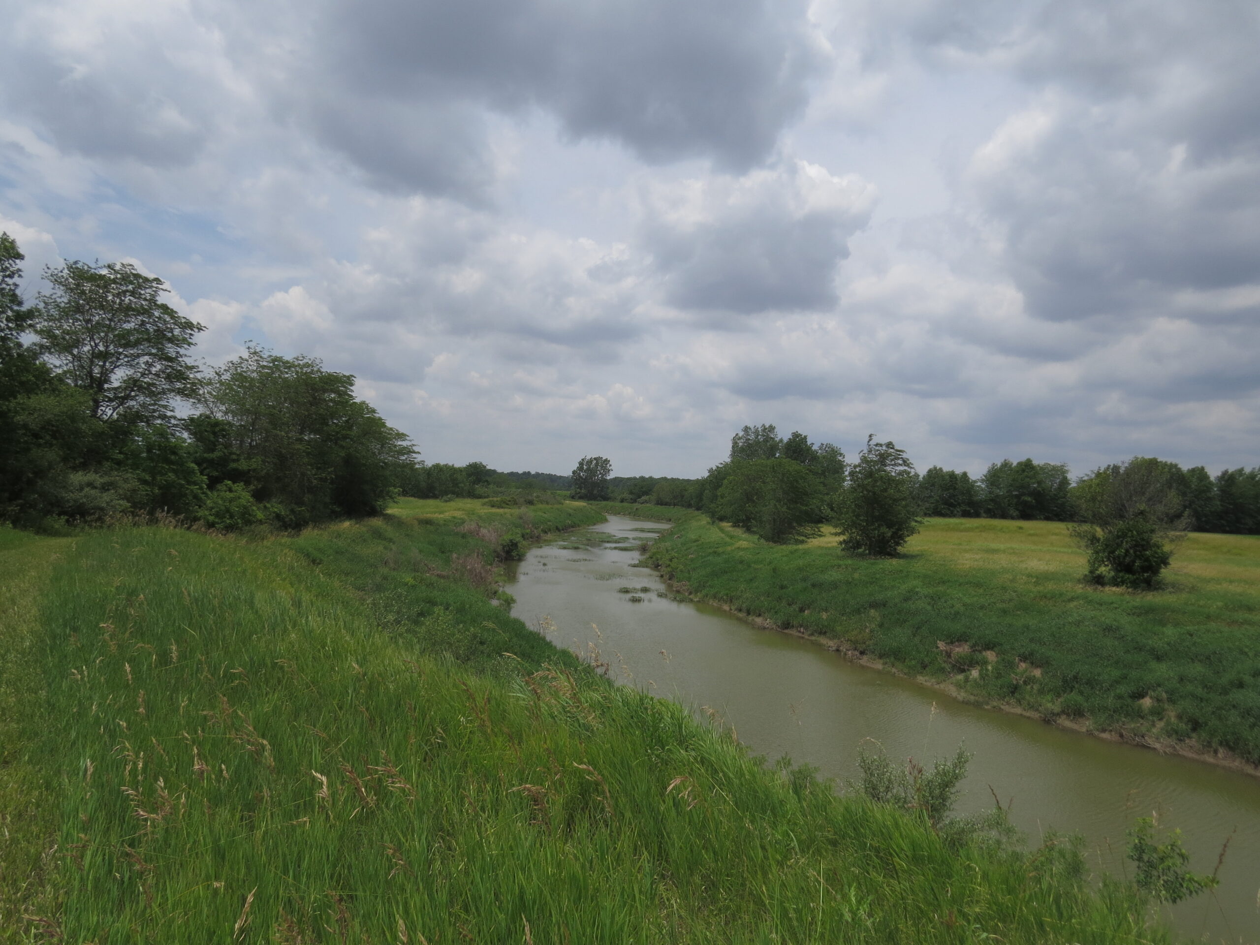 Little Auglaize River