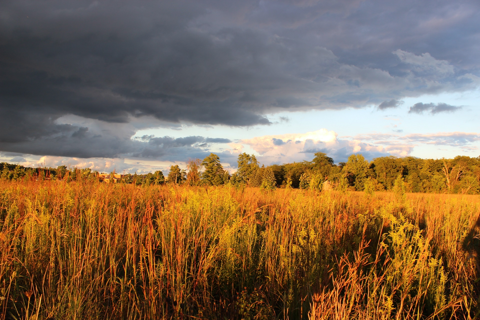 Prairie photo 2