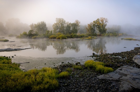 Howard Island misty morning; photo credit Art Weber