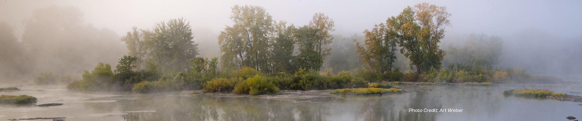 Howard Island misty morning; photo credit Art Weber