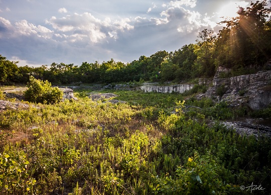 Sawyer Quarry Nature Preserve