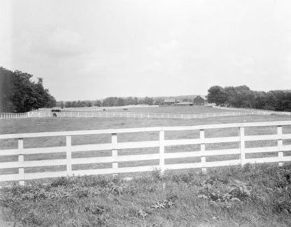 Historic Paddocks View