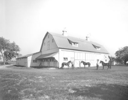 Historic Stallion Barn