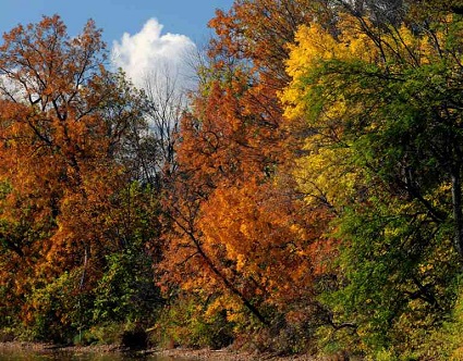 Fall Colors at Peninsular Farms