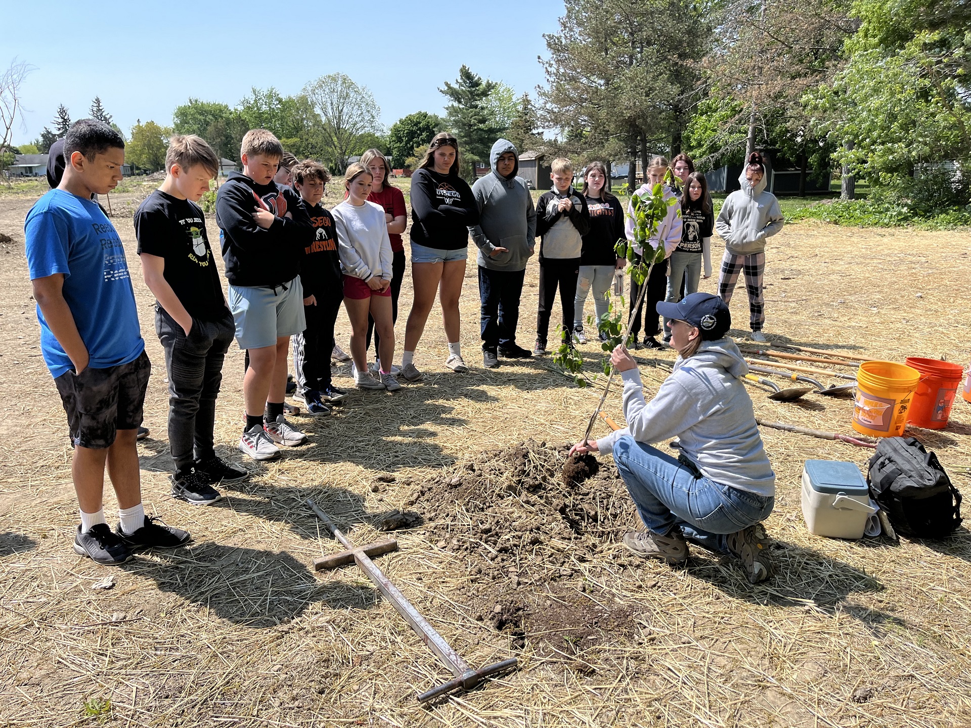 youth observing tree planting