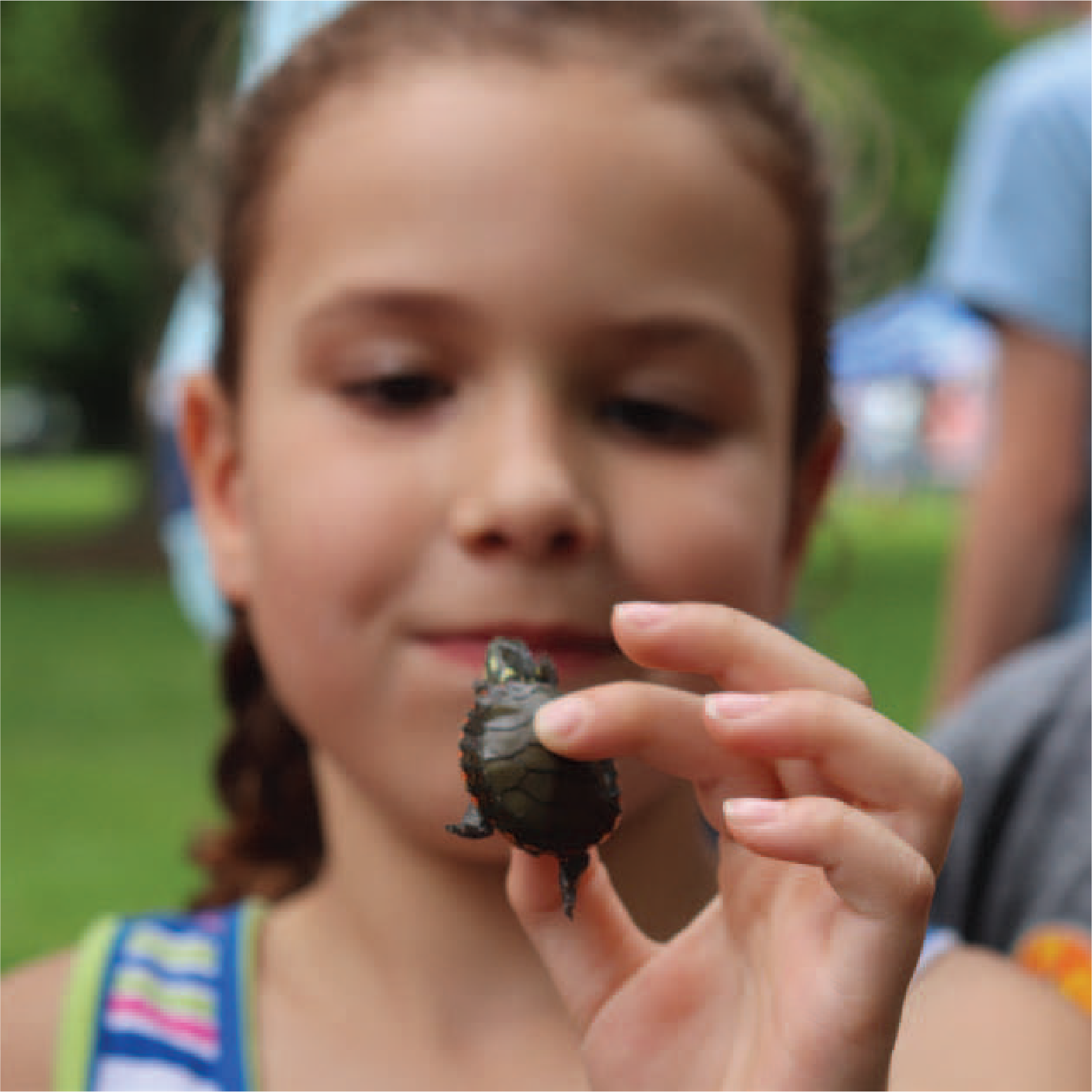 girl holding tiny turtle